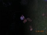 DSCN2347.JPG